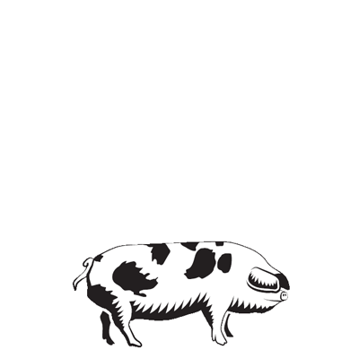 logowhitnew the Gloucester old spot logo