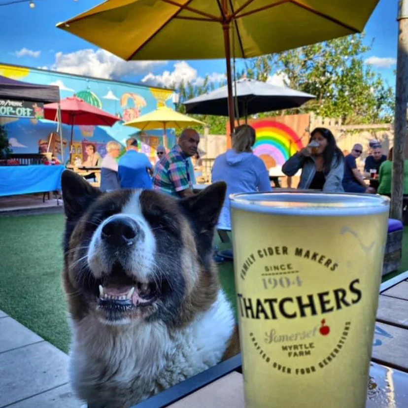 A dog and a pint of cider