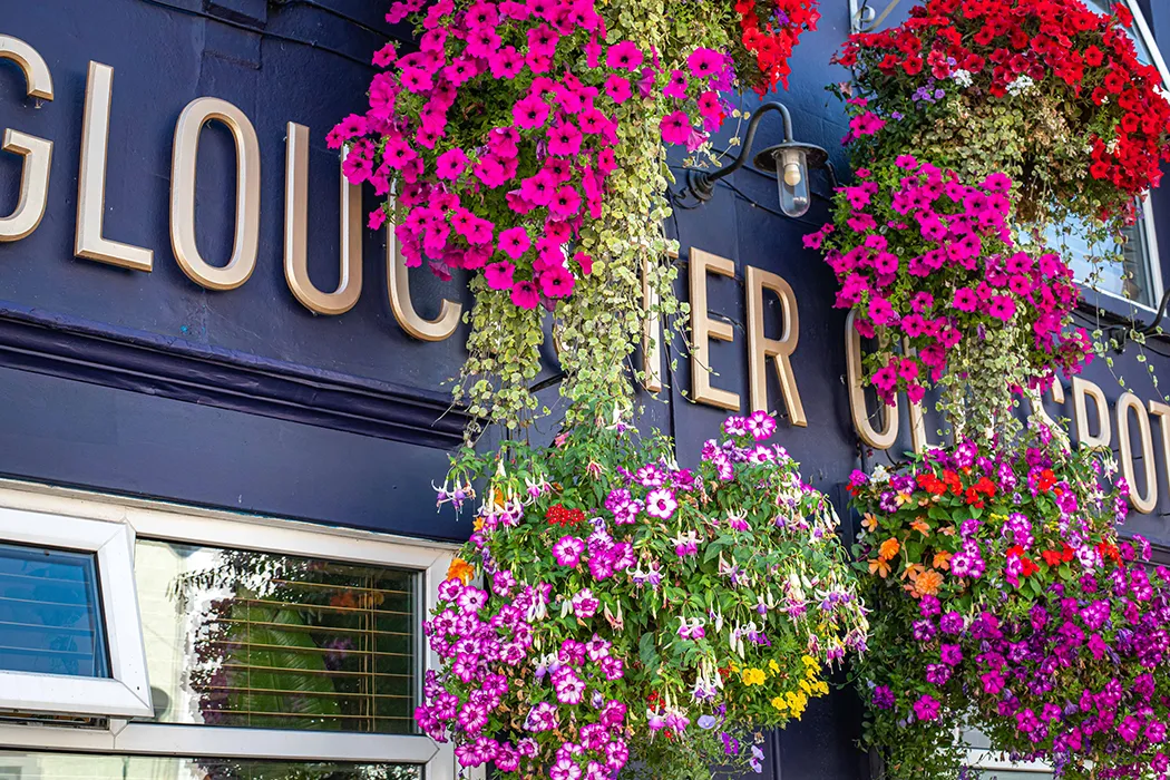 Love, eat, drink and be merry this Christmas GLOUCESTER OS 6604 1050x700 1 - Love, eat, drink and be merry this Christmas